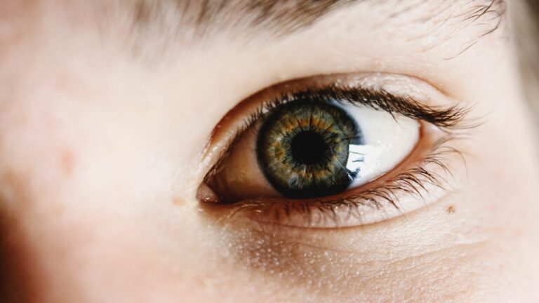 découvrez notre large sélection de lunettes tendance, de lentilles de contact et de services d'optique professionnels. visitez notre opticien pour des conseils d'experts et des produits de qualité adaptés à vos besoins visuels.
