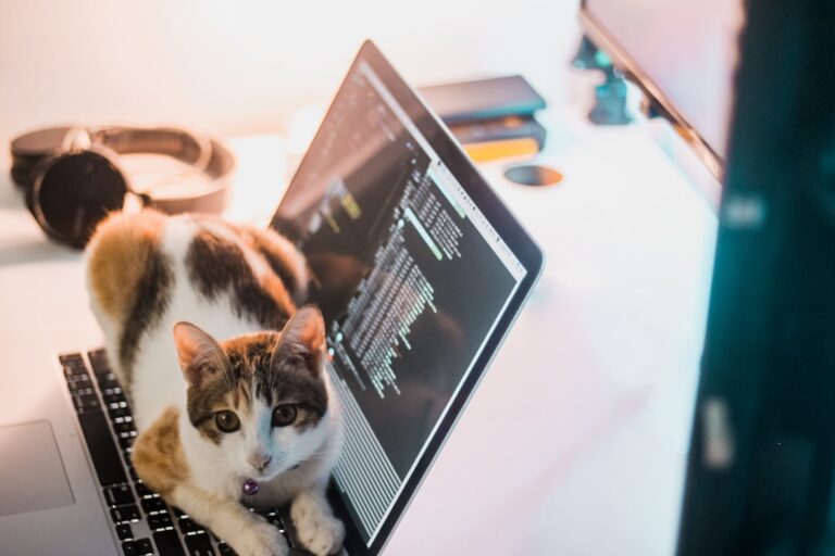 découvrez les solutions et explications liées au code d'erreur. apprenez à identifier et à résoudre les problèmes rencontrés pour améliorer votre expérience utilisateur et optimiser vos systèmes.