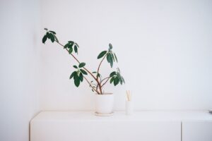 découvrez le salaire d'un designer d'intérieur en france, incluant les variations selon l'expérience, la localisation et le type de projet. informez-vous sur les opportunités de carrière et les perspectives d'évolution dans ce métier créatif et en plein essor.