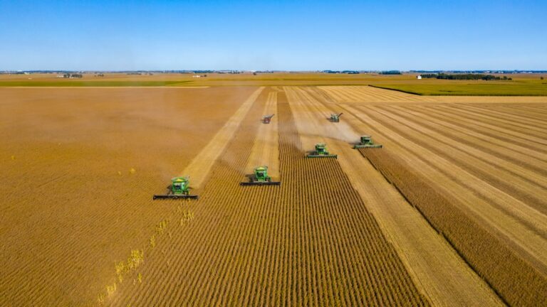 découvrez l'univers de l'agriculture, ses pratiques durables, ses innovations technologiques et son impact sur l'environnement et l'économie. suivez les tendances du secteur et apprenez comment l'agriculture moderne façonne notre avenir alimentaire.