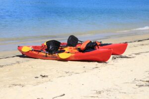 découvrez l'univers du kayak : une aventure en pleine nature, entre techniques de pagayage, conseils pour débutants et choix d'équipements. que vous soyez novice ou pratiquant confirmé, trouvez ici tout ce qu'il faut pour naviguer sur les plus beaux plans d'eau.