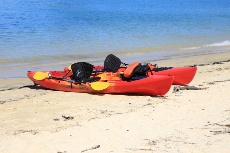 découvrez l'univers du kayak : une aventure en pleine nature, entre techniques de pagayage, conseils pour débutants et choix d'équipements. que vous soyez novice ou pratiquant confirmé, trouvez ici tout ce qu'il faut pour naviguer sur les plus beaux plans d'eau.
