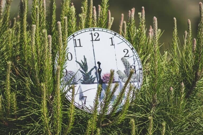 découvrez l'importance de la durée dans différents contextes, qu'il s'agisse de la gestion du temps, de la planification de projets ou de l'appréciation d'événements. apprenez comment optimiser votre emploi du temps pour une productivité maximale.