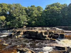 découvrez richmond, une charmante ville alliant histoire, culture et nature. explorez ses magnifiques parcs, ses musées captivants et sa gastronomie locale. parfait pour une escapade conviviale et détente.