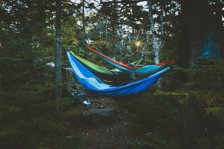 découvrez l'importance d'une pause hebdomadaire pour restaurer corps et esprit. apprenez à intégrer le repos dans votre routine pour améliorer votre bien-être et votre productivité.