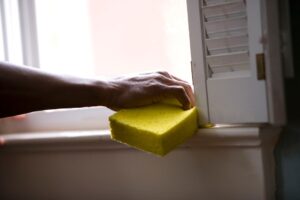 protégez votre maison ou entreprise contre les nuisibles avec notre service professionnel de pest control. élimination rapide des insectes et rongeurs, interventions efficaces et discrètes. demandez votre devis gratuit !