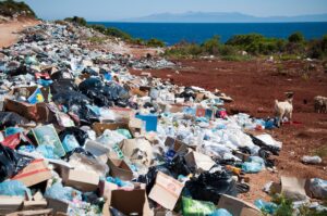 découvrez les meilleures pratiques et solutions efficaces en gestion des déchets pour réduire l'impact environnemental et adopter une démarche écoresponsable.