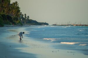 découvrez zanzibar, une île paradisiaque au large de la tanzanie, célèbre pour ses plages de sable blanc, ses eaux turquoise et sa richesse culturelle. parfait pour des vacances de rêve et des aventures inoubliables.