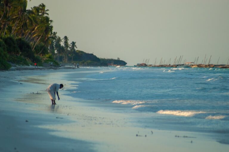 découvrez zanzibar, une île paradisiaque au large de la tanzanie, célèbre pour ses plages de sable blanc, ses eaux turquoise et sa richesse culturelle. parfait pour des vacances de rêve et des aventures inoubliables.