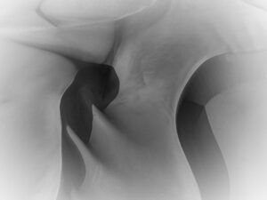 découvrez combien de temps peut durer une douleur intercostale, ses causes possibles et les options de traitement pour soulager rapidement l'inconfort thoracique.
